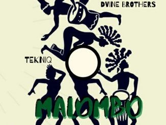 Tekniq, Dvine Brothers, Malombo (Original Mix), mp3, download, datafilehost, toxicwap, fakaza, House Music, Amapiano, Amapiano 2020, Amapiano Mix, Amapiano Music