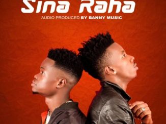 The Smash, Sina Raha, mp3, download, datafilehost, toxicwap, fakaza, Afro House, Afro House 2020, Afro House Mix, Afro House Music, Afro Tech, House Music