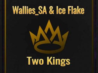 Wallies_SA, Ice Flake, Two Kings, mp3, download, datafilehost, toxicwap, fakaza, Afro House, Afro House 2020, Afro House Mix, Afro House Music, Afro Tech, House Music