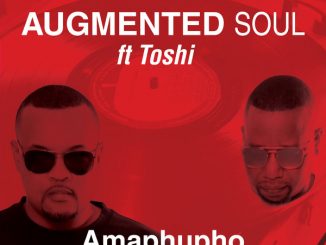 Augmented Soul, Toshi, Amaphupho, Extented Mix, mp3, download, datafilehost, toxicwap, fakaza, Afro House, Afro House 2020, Afro House Mix, Afro House Music, Afro Tech, House Music