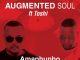 Augmented Soul, Toshi, Amaphupho, Extented Mix, mp3, download, datafilehost, toxicwap, fakaza, Afro House, Afro House 2020, Afro House Mix, Afro House Music, Afro Tech, House Music