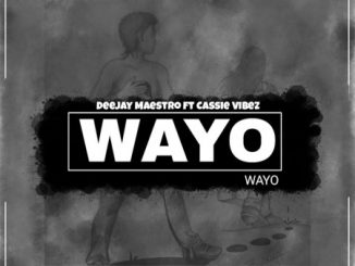 Deejay Maestro, Wayo, Cassie Vibez, mp3, download, datafilehost, toxicwap, fakaza, Afro House, Afro House 2020, Afro House Mix, Afro House Music, Afro Tech, House Music