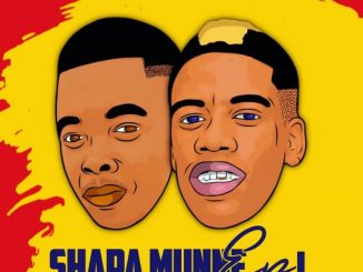 Sje Konka, Freddy K, Shapa Munne, download ,zip, zippyshare, fakaza, EP, datafilehost, album, House Music, Amapiano, Amapiano 2020, Amapiano Mix, Amapiano Music