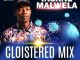 Insane Malwela, Cloistered Mix, mp3, download, datafilehost, toxicwap, fakaza, Afro House, Afro House 2020, Afro House Mix, Afro House Music, Afro Tech, House Music