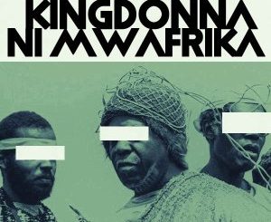 KingDonna, Ni Mwafrika, mp3, download, datafilehost, toxicwap, fakaza, Afro House, Afro House 2020, Afro House Mix, Afro House Music, Afro Tech, House Music