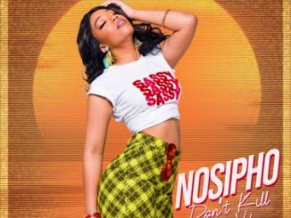 Nosipho, Don’t Kill My Vibe, mp3, download, datafilehost, toxicwap, fakaza, Afro House, Afro House 2020, Afro House Mix, Afro House Music, Afro Tech, House Music