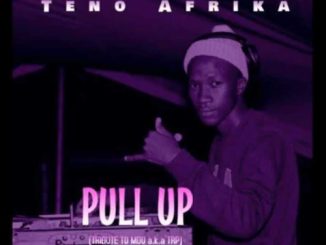 Teno Afrik, Pull Up, Tribute To Mdu a.k.a TRP, mp3, download, datafilehost, toxicwap, fakaza, Afro House, Afro House 2020, Afro House Mix, Afro House Music, Afro Tech, House Music