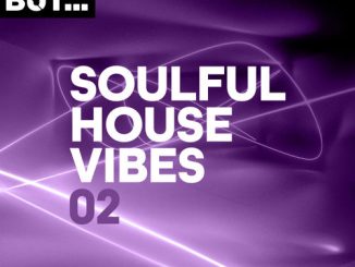 Various Artist, Nothing But... Soulful House Vibes Vol. 02, Soulful House Vibes Vol. 02, Soulful House Vibes, download ,zip, zippyshare, fakaza, EP, datafilehost, album, Soulful House Mix, Soulful House, Soulful House Music, House Music