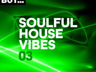 Various Artist, Nothing But... Soulful House Vibes Vol. 03, Soulful House Vibes Vol. 03, Soulful House Vibes, download ,zip, zippyshare, fakaza, EP, datafilehost, album, Soulful House Mix, Soulful House, Soulful House Music, House Music