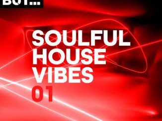Various Artist, Nothing But... Soulful House Vibes Vol. 01, Soulful House Vibes Vol. 01, Soulful House Vibes, download ,zip, zippyshare, fakaza, EP, datafilehost, album, Soulful House Mix, Soulful House, Soulful House Music, House Music