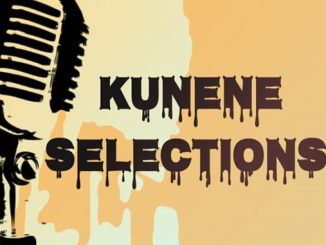 WayneEleven, Kunene Selections Vol. 1 Mix, mp3, download, datafilehost, toxicwap, fakaza, Afro House, Afro House 2020, Afro House Mix, Afro House Music, Afro Tech, House Music