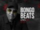 Bongo Beats, Level 3, mp3, download, datafilehost, toxicwap, fakaza, Afro House, Afro House 2020, Afro House Mix, Afro House Music, Afro Tech, House Music