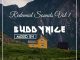 Buddynice, Redemial Sounds Vol 1, Deep House, mp3, download, datafilehost, toxicwap, fakaza, Deep House Mix, Deep House, Deep House Music, Deep Tech, Afro Deep Tech, House Music