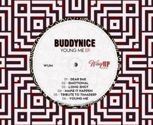 Buddynice, Tribute to TimAdeep, Redemial Mix, mp3, download, datafilehost, toxicwap, fakaza, Afro House, Afro House 2020, Afro House Mix, Afro House Music, Afro Tech, House Music