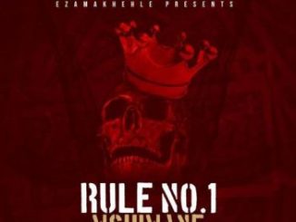 Dj Mshimane, Rule No.1, mp3, download, datafilehost, toxicwap, fakaza, Afro House, Afro House 2020, Afro House Mix, Afro House Music, Afro Tech, House Music