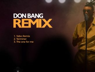 Don Bang, Remix, download ,zip, zippyshare, fakaza, EP, datafilehost, album, House Music, Amapiano, Amapiano 2020, Amapiano Mix, Amapiano Music