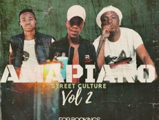 Entity MusiQ, Lil’Mo, Amapiano Street Culture Vol. 2 Mix, mp3, download, datafilehost, toxicwap, fakaza, House Music, Amapiano, Amapiano 2020, Amapiano Mix, Amapiano Music