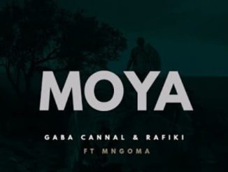 Gaba Cannal, Rafiki, Moya, Mngoma Omuhle, mp3, download, datafilehost, toxicwap, fakaza, House Music, Amapiano, Amapiano 2020, Amapiano Mix, Amapiano Music
