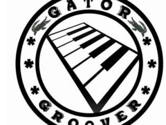 Gator Groover, Space, Dance Mix, mp3, download, datafilehost, toxicwap, fakaza, Afro House, Afro House 2020, Afro House Mix, Afro House Music, Afro Tech, House Music