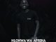 Hlokwa Wa Afrika, Sorrow, Original Mix, mp3, download, datafilehost, toxicwap, fakaza, Afro House, Afro House 2020, Afro House Mix, Afro House Music, Afro Tech, House Music