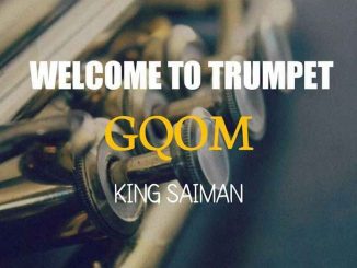 King Saiman, Broken Keys, Pro-Tee, mp3, download, datafilehost, toxicwap, fakaza, Gqom Beats, Gqom Songs, Gqom Music, Gqom Mix, House Music