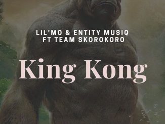 Lil’Mo, Entity MusiQ, King Kong, Gangter MusiQ, Team Skorokoro, mp3, download, datafilehost, toxicwap, fakaza, Afro House, Afro House 2020, Afro House Mix, Afro House Music, Afro Tech, House Music