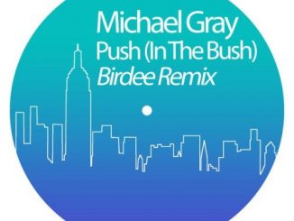 Michael Gray, Push, In The Bush, Birdee Remix, mp3, download, datafilehost, toxicwap, fakaza, Afro House, Afro House 2020, Afro House Mix, Afro House Music, Afro Tech, House Music