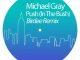 Michael Gray, Push, In The Bush, Birdee Remix, mp3, download, datafilehost, toxicwap, fakaza, Afro House, Afro House 2020, Afro House Mix, Afro House Music, Afro Tech, House Music