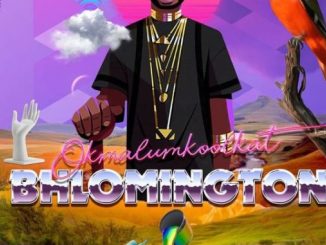 Okmalumkoolkat, Bhlomington, download ,zip, zippyshare, fakaza, EP, datafilehost, album, Hiphop, Hip hop music, Hip Hop Songs, Hip Hop Mix, Hip Hop, Rap, Rap Music