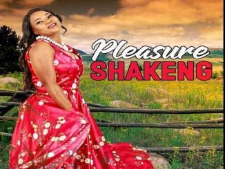 Pleasure, Shakeng, download ,zip, zippyshare, fakaza, EP, datafilehost, album, Kwaito Songs, Kwaito, Kwaito Mix, Kwaito Music, Kwaito Classics, Pop Music, Pop, Afro-Pop