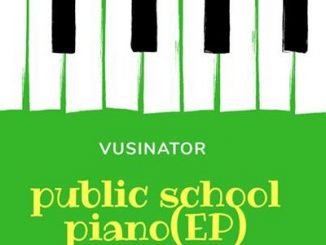 Vusinator, Public School Piano Vol. 3, download ,zip, zippyshare, fakaza, EP, datafilehost, album, House Music, Amapiano, Amapiano 2020, Amapiano Mix, Amapiano Music