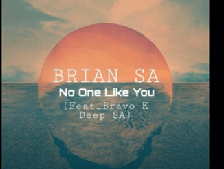 BRIAN SA, No One Like You, Bravo K Deep SA, mp3, download, datafilehost, toxicwap, fakaza, Deep House Mix, Deep House, Deep House Music, Deep Tech, Afro Deep Tech, House Music