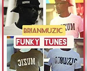 BrianMuzic, Funky Tunes, Original Mix, mp3, download, datafilehost, toxicwap, fakaza, Deep House Mix, Deep House, Deep House Music, Deep Tech, Afro Deep Tech, House Music