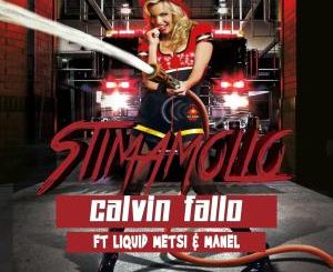 Calvin Fallo, Stimamollo, Liquid Metsi, Manel, mp3, download, datafilehost, toxicwap, fakaza, House Music, Amapiano, Amapiano 2020, Amapiano Mix, Amapiano Music