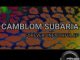 Camblom Subaria, Forever Unfaithful, download ,zip, zippyshare, fakaza, EP, datafilehost, album, Afro House, Afro House 2020, Afro House Mix, Afro House Music, Afro Tech, House Music