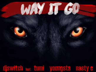 DJ Switch , Way It Go, Stogie T, Nasty C, YoungstaCPT, mp3, download, datafilehost, toxicwap, fakaza, Hiphop, Hip hop music, Hip Hop Songs, Hip Hop Mix, Hip Hop, Rap, Rap Music