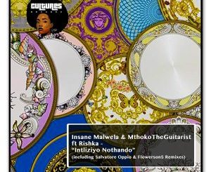 Insane Malwela, MthokoTheGuitarist, Rishka, Intliziyo Nothando, mp3, download, datafilehost, toxicwap, fakaza, Afro House, Afro House 2020, Afro House Mix, Afro House Music, Afro Tech, House Music