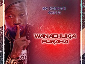 Mc Norman Ganja, Wanachukia Furaha, mp3, download, datafilehost, toxicwap, fakaza, Afro House, Afro House 2020, Afro House Mix, Afro House Music, Afro Tech, House Music