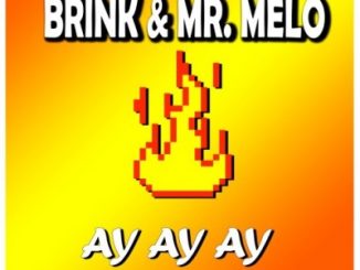 Mr. Melo, Brink, Ay Ay Ay, Official Audio, mp3, download, datafilehost, toxicwap, fakaza, Afro House, Afro House 2020, Afro House Mix, Afro House Music, Afro Tech, House Music