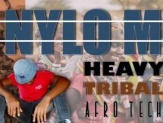 Nylo M, Heavy Tribal, Afro Tech, mp3, download, datafilehost, toxicwap, fakaza, Afro House, Afro House 2020, Afro House Mix, Afro House Music, Afro Tech, House Music