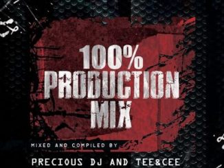 Precious DJ, Tee&Cee, 100% Production Mix, mp3, download, datafilehost, toxicwap, fakaza, Afro House, Afro House 2020, Afro House Mix, Afro House Music, Afro Tech, House Music
