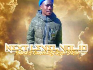 Rojah D’kota, Next level Vol 10, mp3, download, datafilehost, toxicwap, fakaza, Afro House, Afro House 2020, Afro House Mix, Afro House Music, Afro Tech, House Music