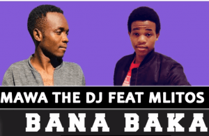 Salmawa The DJ, Bana Baka, Mlitos, Original, mp3, download, datafilehost, toxicwap, fakaza, Afro House, Afro House 2020, Afro House Mix, Afro House Music, Afro Tech, House Music