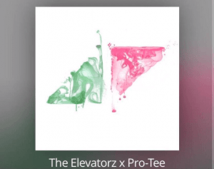 The Elevatorz x Pro-Tee, For Avicii, Without You Gqom Remake, mp3, download, datafilehost, toxicwap, fakaza, Afro House, Afro House 2020, Afro House Mix, Afro House Music, Afro Tech, House Music