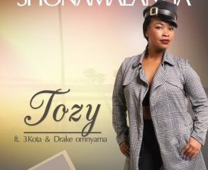 Tozy, Shonamalanga, Drake Omnyama, 3kota, Extended Version, mp3, download, datafilehost, toxicwap, fakaza, Afro House, Afro House 2020, Afro House Mix, Afro House Music, Afro Tech, House Music