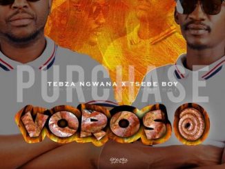 Tsebe Boy, Tebza Ngwana, Voroso, Le Ray, White Nigh, mp3, download, datafilehost, toxicwap, fakaza, Afro House, Afro House 2020, Afro House Mix, Afro House Music, Afro Tech, House Music