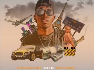 Wingstar, She Savage, mp3, download, datafilehost, toxicwap, fakaza, Afro House, Afro House 2020, Afro House Mix, Afro House Music, Afro Tech, House Music