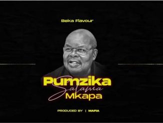 Beka Flavour, Pumzika Salama Mkapa, mp3, download, datafilehost, toxicwap, fakaza, Afro House, Afro House 2020, Afro House Mix, Afro House Music, Afro Tech, House Music