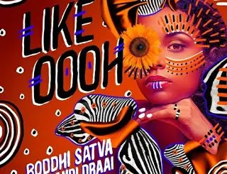 Boddhi Satva, Thandi Draai, Like Oooh, Main Mix, mp3, download, datafilehost, toxicwap, fakaza, Afro House, Afro House 2020, Afro House Mix, Afro House Music, Afro Tech, House Music