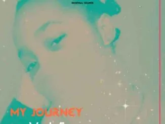 Buddynice, My Journey download ,zip, zippyshare, fakaza, EP, datafilehost, album, Deep House Mix, Deep House, Deep House Music, Deep Tech, Afro Deep Tech, House Music